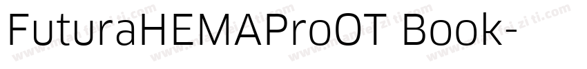 FuturaHEMAProOT Book字体转换